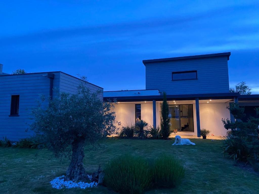 Embruns Et Sarrasin Bed and Breakfast Combrit Exteriör bild